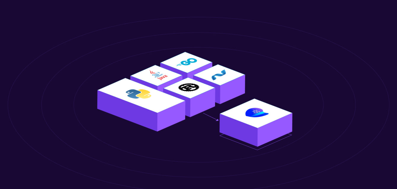 Developers,-It’s-Time-to-Rethink-Your-Programming-Stack.-Go-Language-Agnostic