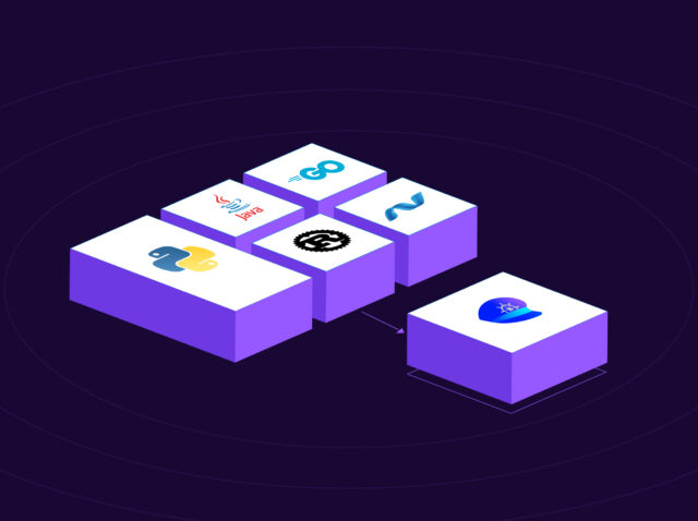 Developers,-It’s-Time-to-Rethink-Your-Programming-Stack.-Go-Language-Agnostic